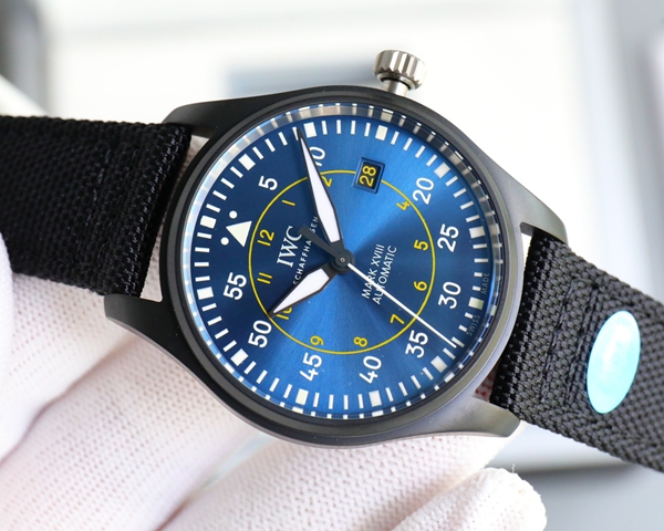 アイ・ダブリュー・シー内部構造